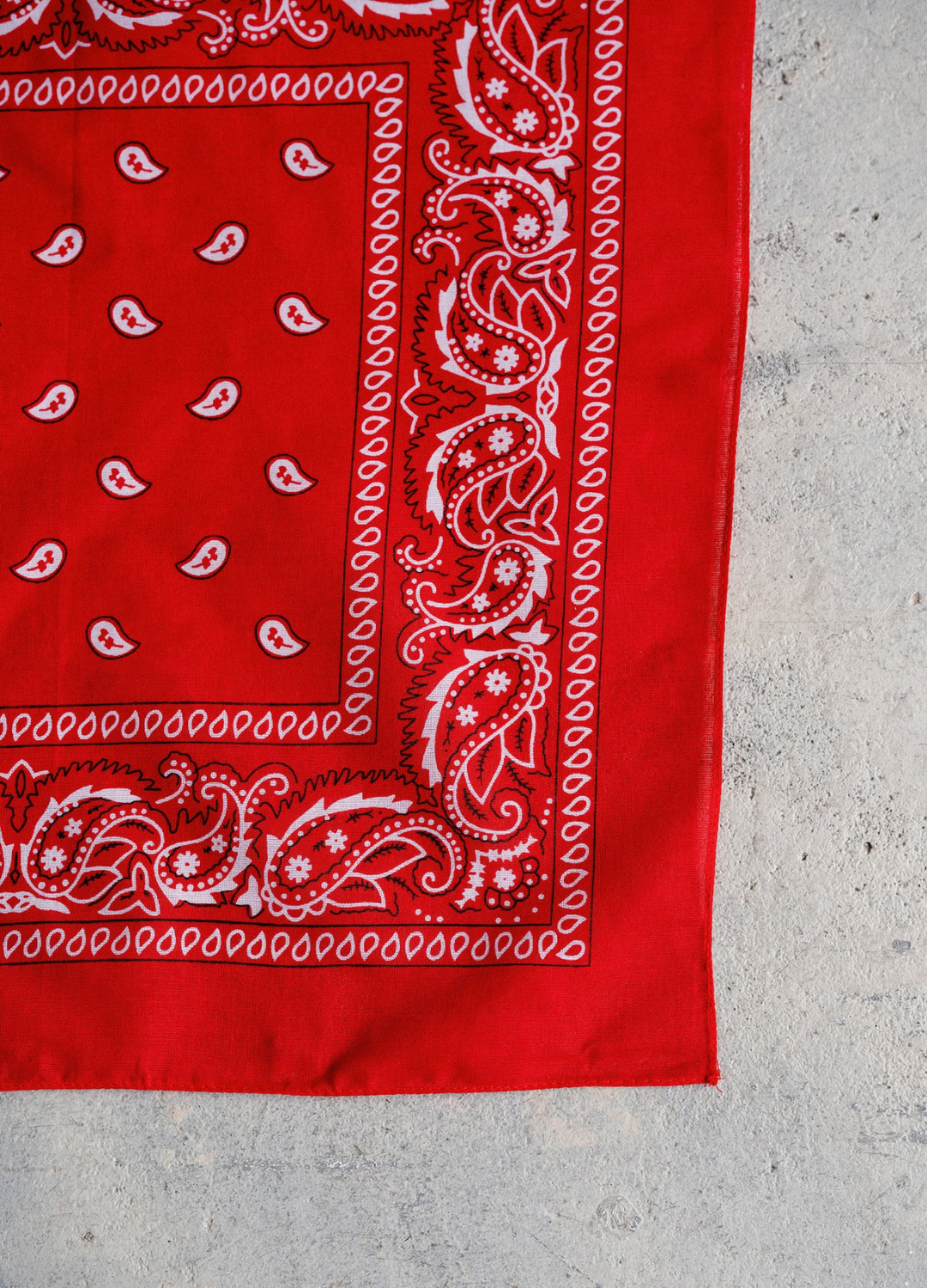 Classic Western Bandana