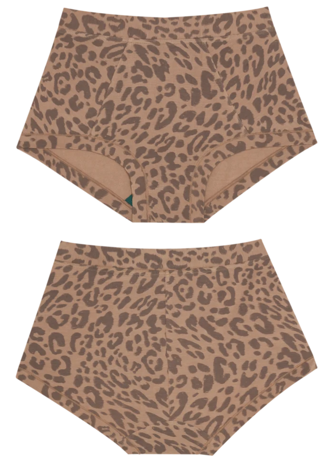 Brief Underwear