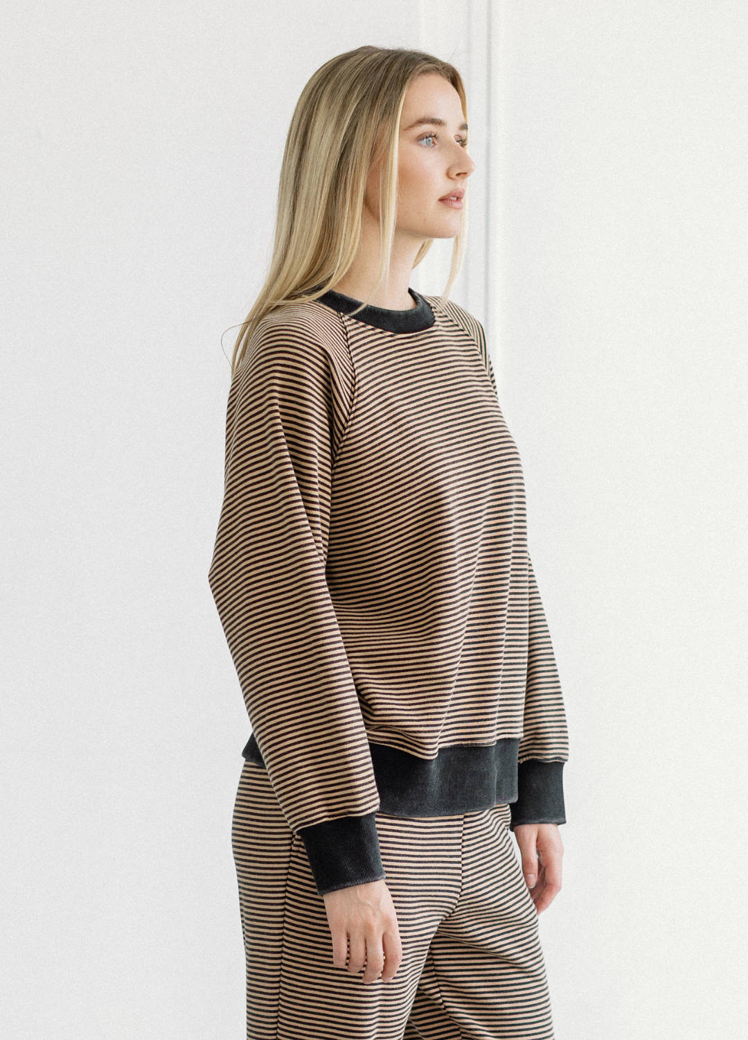 Mini Stripe Crew Sweatshirt